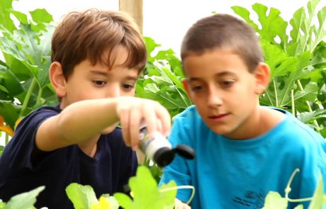 The Arava — From Agricultural Innovation to Educational Innovation