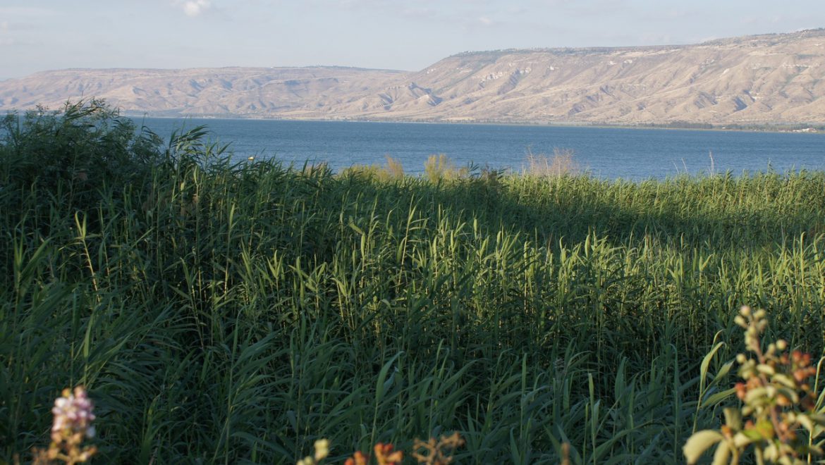 KKL-JNF: Moving Forward With the Galilee