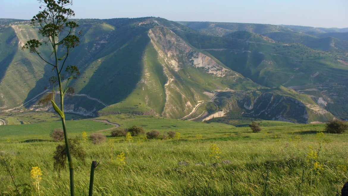 Golan Heights: History & Overview